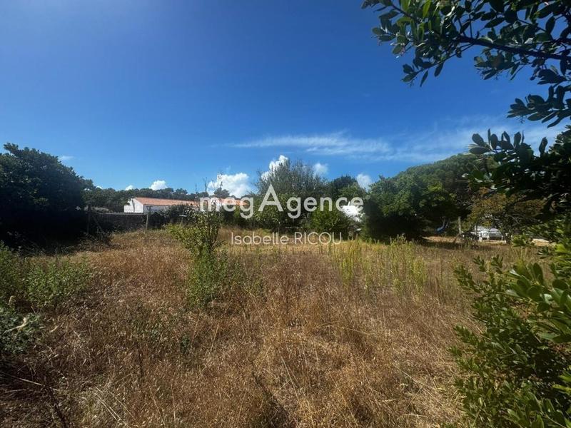 Terrain constructible - 650 m²