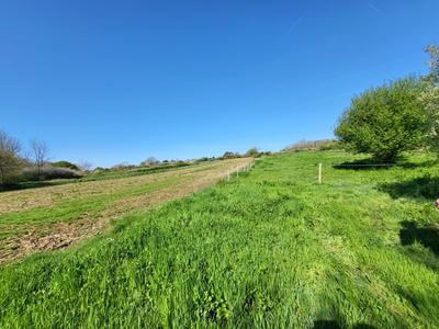 Hangar - 520 m² - 1 pièce