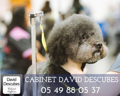 Fonds de commerce - Local commercial - 32 m²