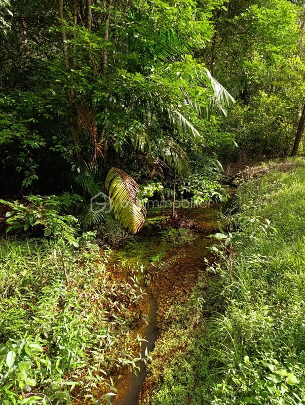 Maison de bois - 110 m² - 5 pièces