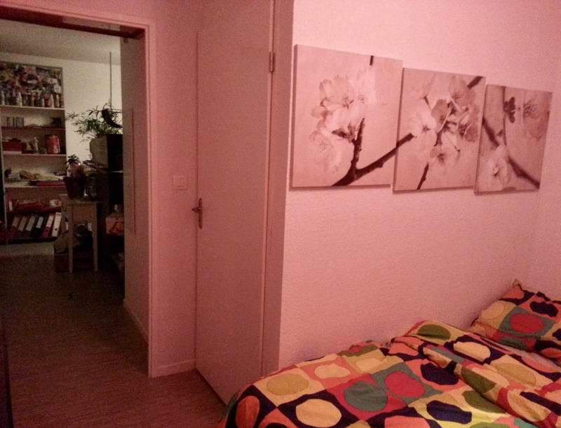 Appartement - 25 m² - 1 pièce