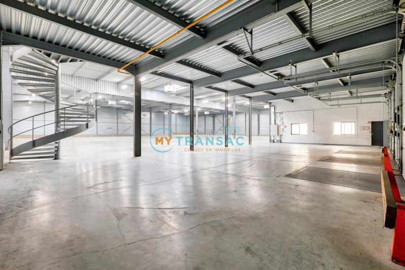 Local d'activité / Entrepôt - 3 668 m²