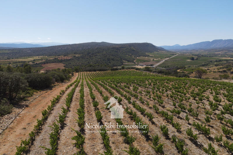 Terrain agricole - 30 000 m²