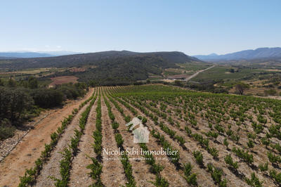 Terrain agricole - 30 000 m²