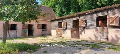 Haras - 300 m² - 4 pièces