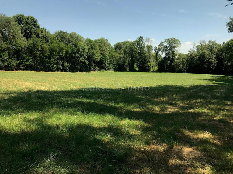 Maison - 250 m² - 7 pièces