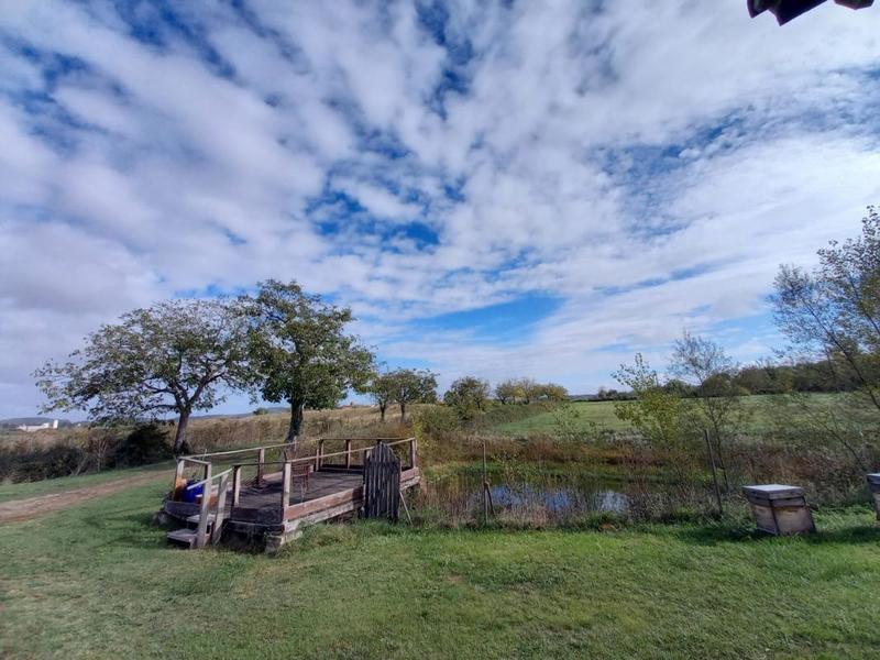 Corps de ferme - 250 m² - 8 pièces