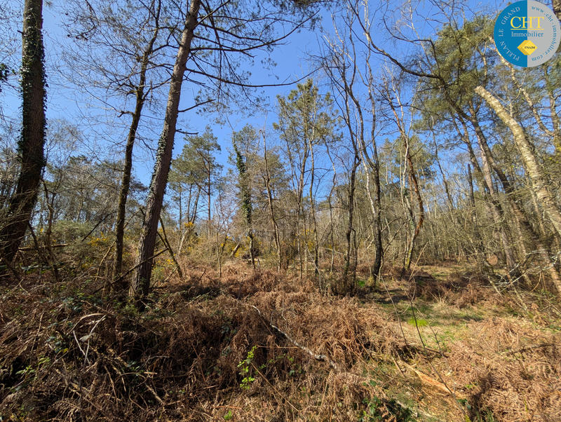 Terrain - 24 900 m²