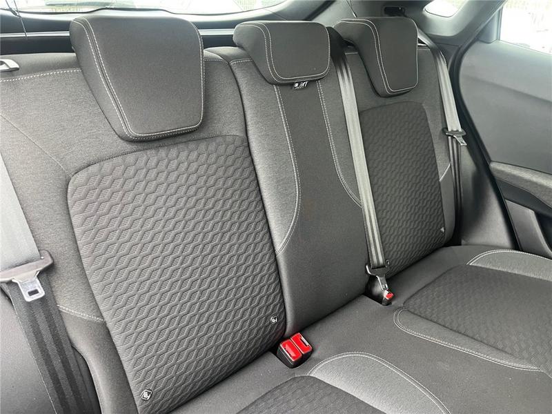 Ford Puma II 1.0 Flexifuel 125 Ch Mhev s&amp;S Bvm6 Titanium