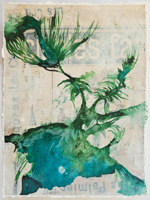 L'origine par Barbara Schroeder