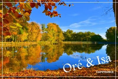 Terrain - 49 655 m²