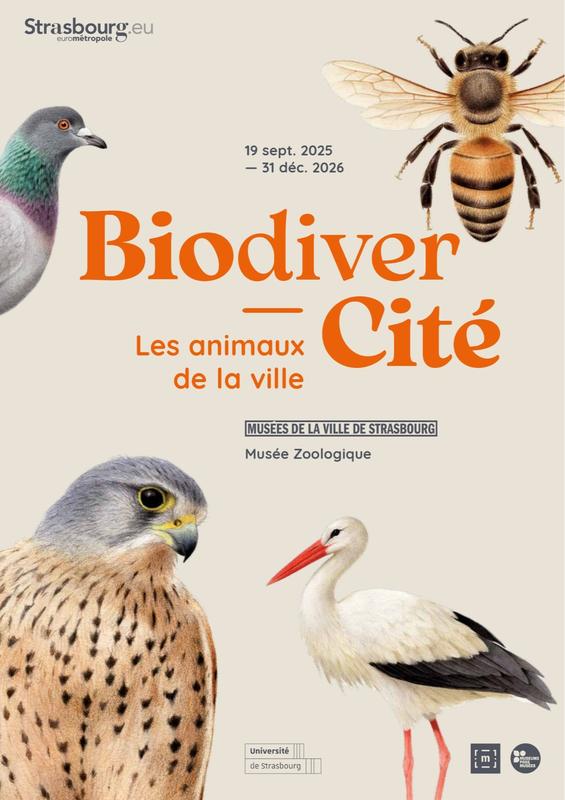 Biodivercité. Les animaux de la ville