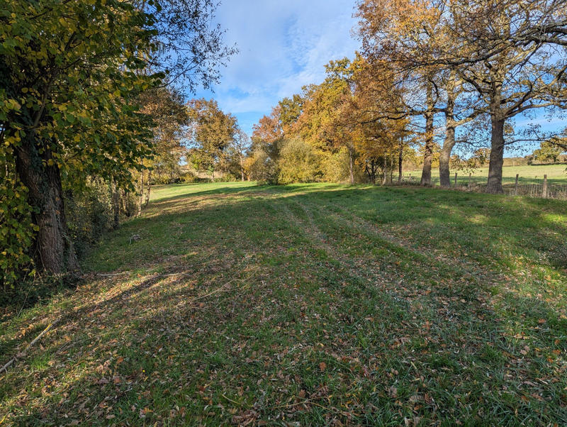 Terrain - 20 387 m²