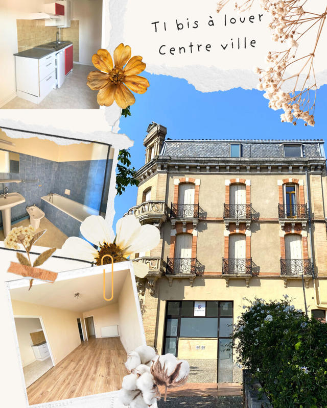 Appartement - 34 m² - 1 pièce