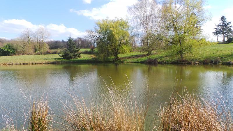 Terrain - 18 368 m²