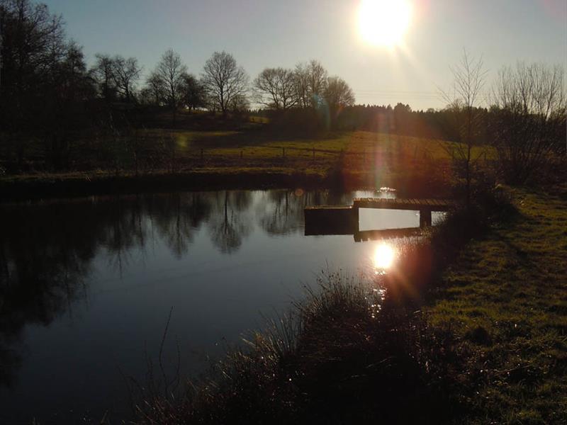 Sortie nature : les mysteres de la nuit