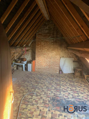 Viager - Maison - 250 m² - 7 pièces