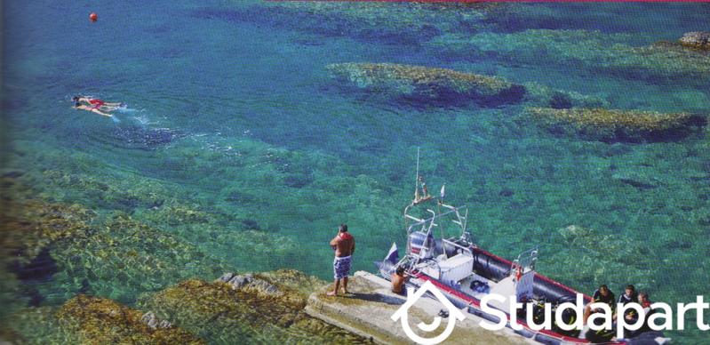 Appartement - 35 m² - 3 pièces