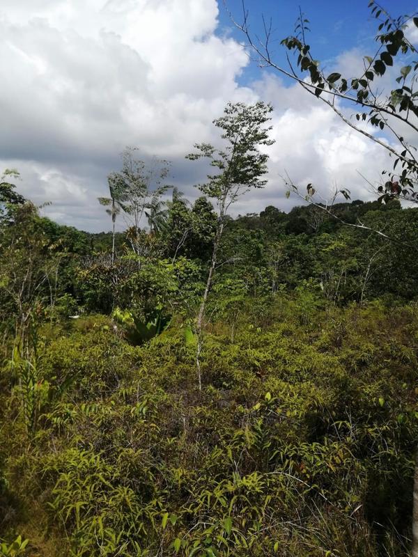 Terrain - 13 872 m²