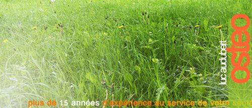 ostéopathe D.O, humain, équin, canin.