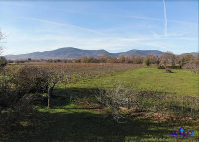 Maison ancienne - 339 m² - 5 pièces