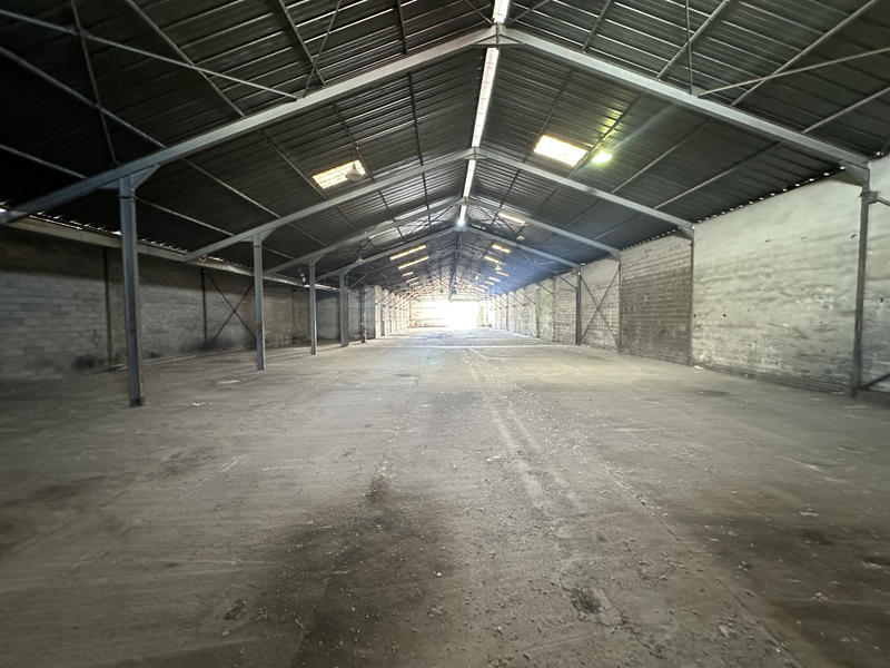 Entrepôt - 1 200 m²