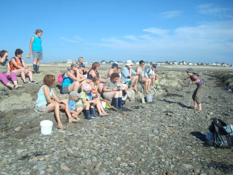 Sortie nature Coquillages et crustacés