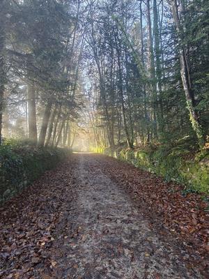 Terrain de loisirs - 12 280 m²