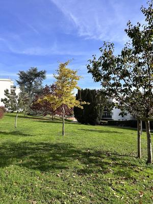 Appartement - 90 m² - 5 pièces