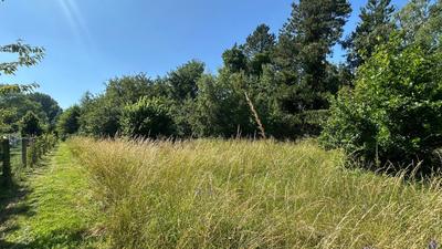 Terrain constructible - 7 602 m²