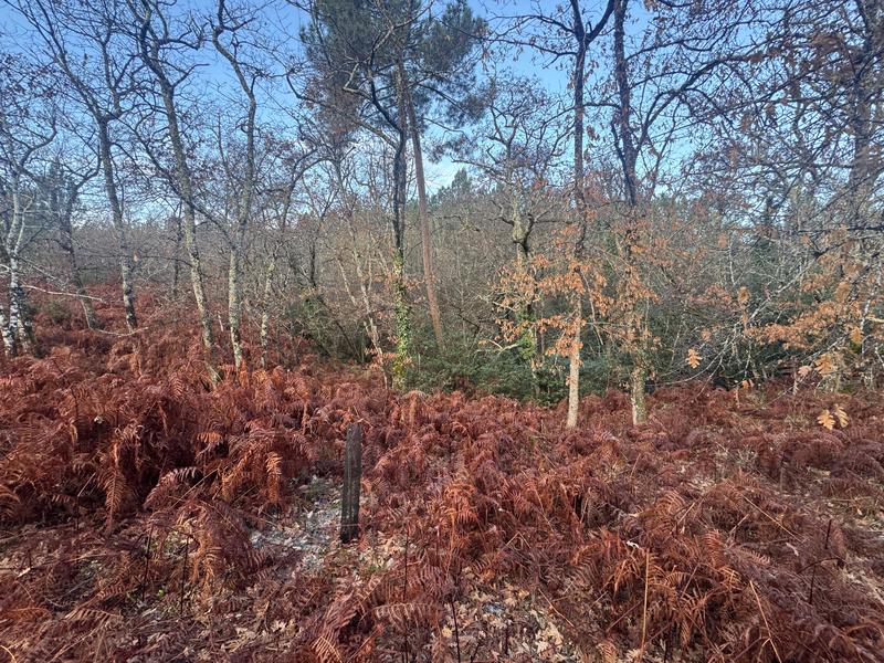 Terrain - 40 400 m²