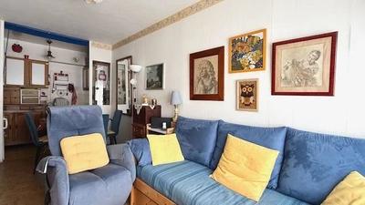 Viager - Appartement - 31 m² - 1 pièce