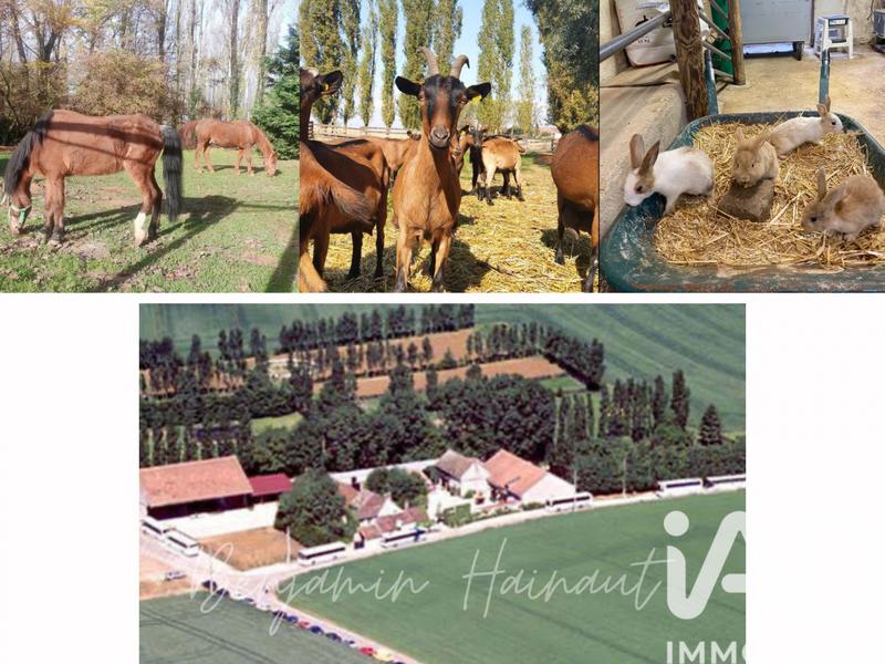 Ferme - 300 m² - 8 pièces