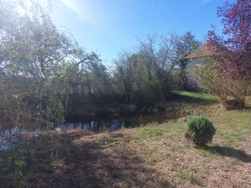 Viager - Maison - 200 m² - 6 pièces