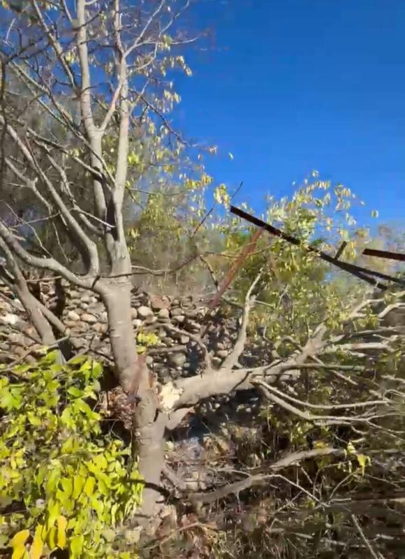 Appartement - 163 m² - 5 pièces