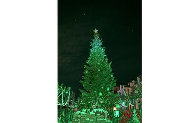 Le sapin féerique :“Un Noël gourmand et multicolore”