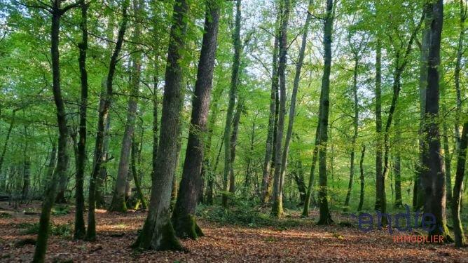 Maison - 167 m² - 5 pièces