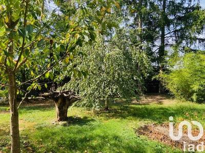 Maison - 70 m² - 2 pièces