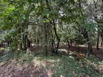 Terrain constructible - 799 m²