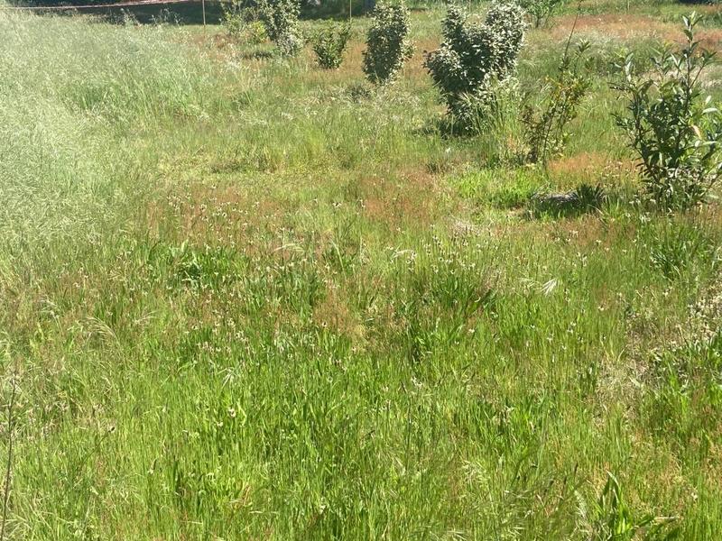 Terrain constructible - 600 m²