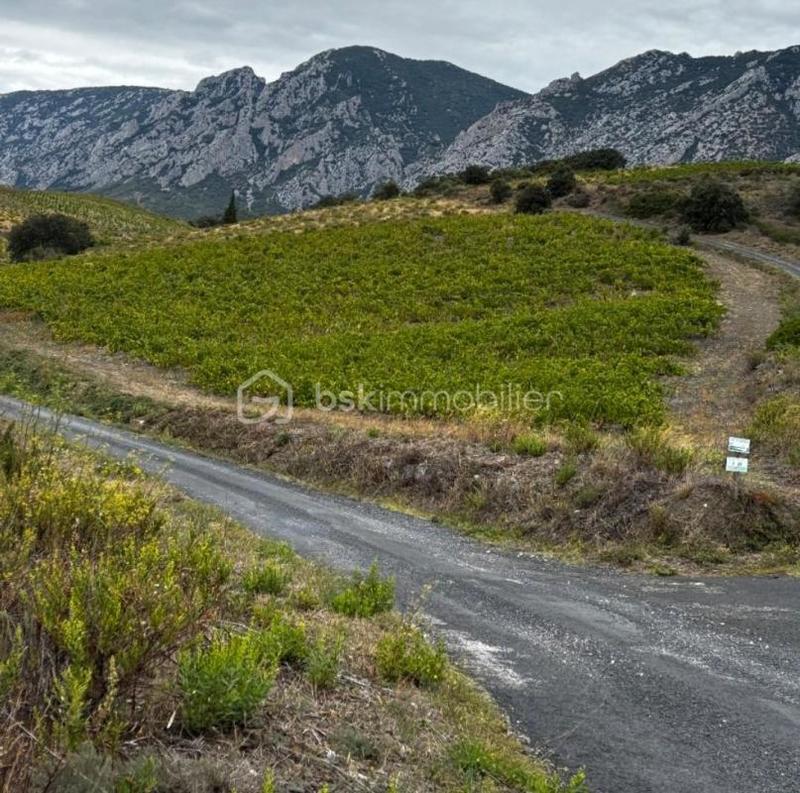 Terrain agricole - 4 685 m²