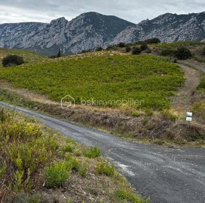 Terrain agricole - 4 685 m²