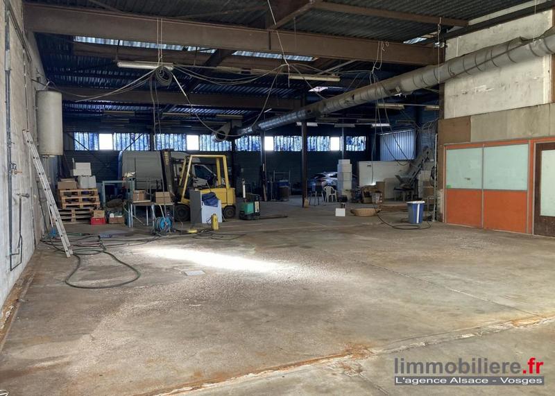 Local d'activité / Entrepôt - 600 m²
