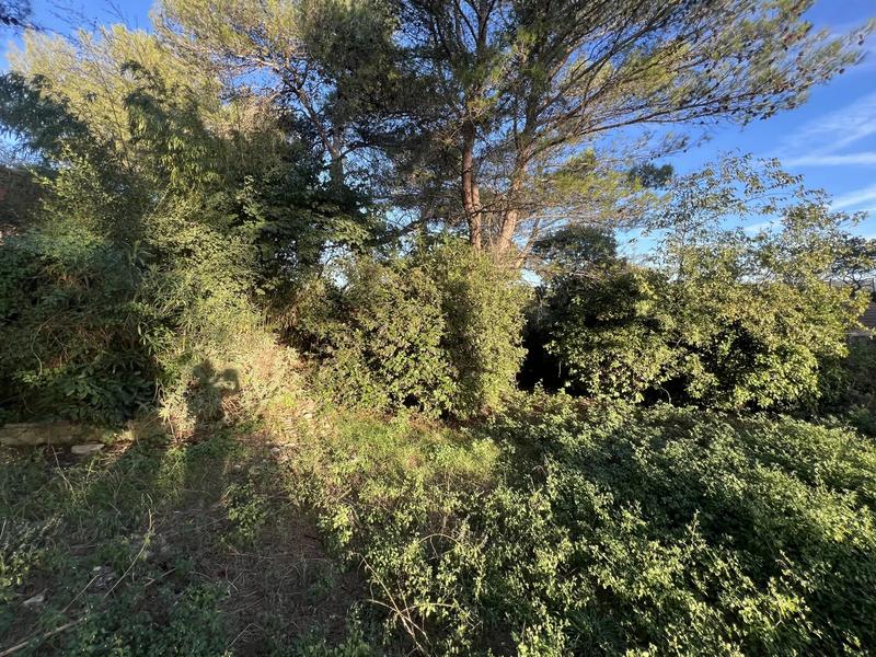 Terrain - 80 000 m²