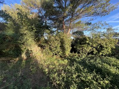 Terrain - 80 000 m²