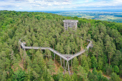 Chemin des Cimes Alsace