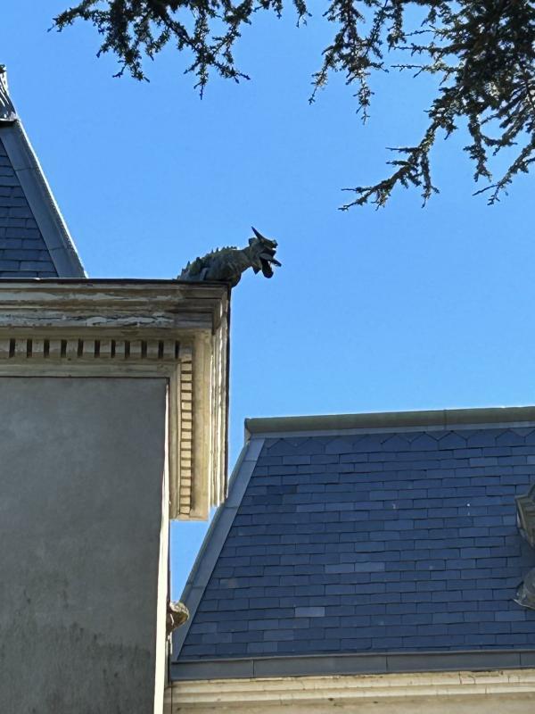 Château - 1 000 m² - 10 pièces