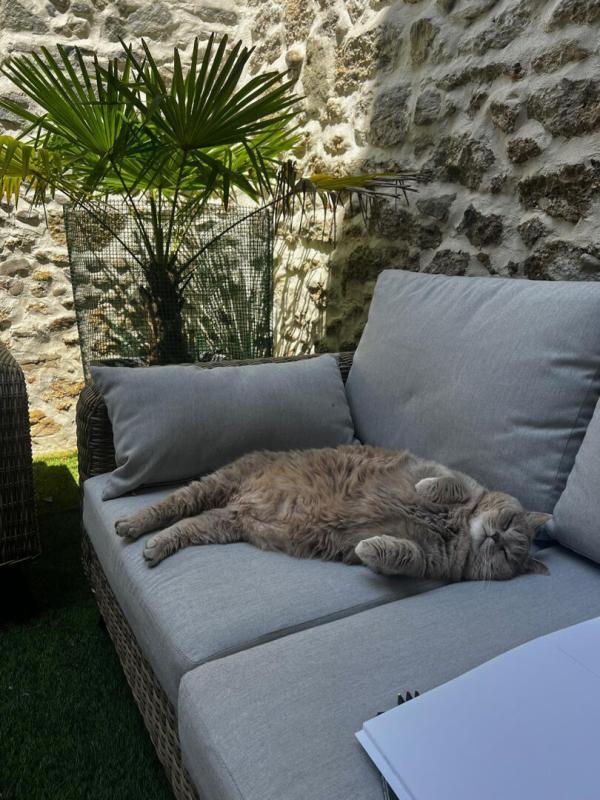 Maison - 399 m² - 11 pièces