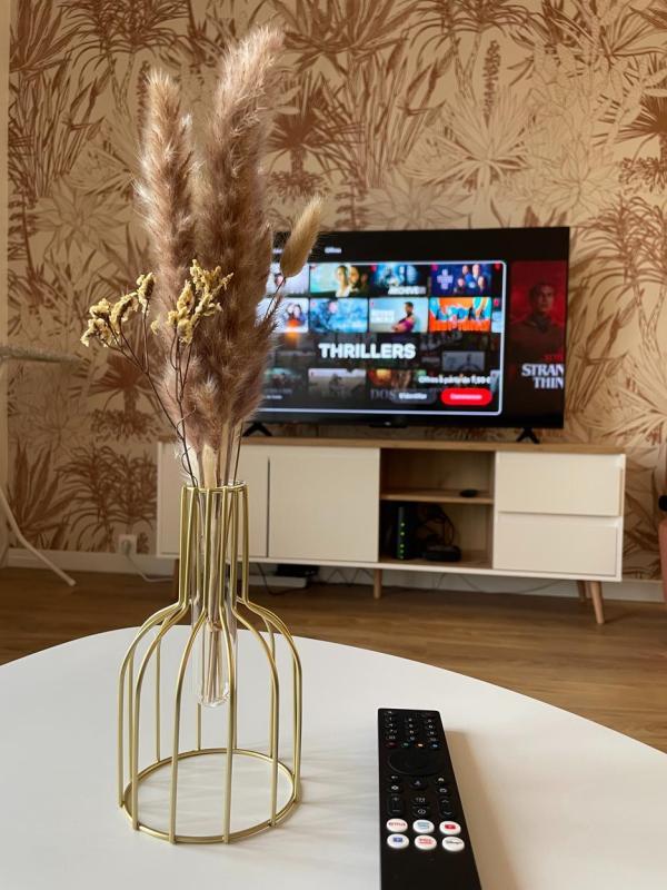 Chambre - 20 m² - 1 pièce