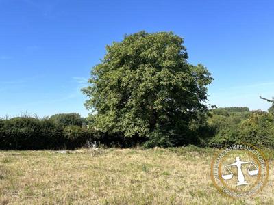 Terrain constructible - 1 460 m²
